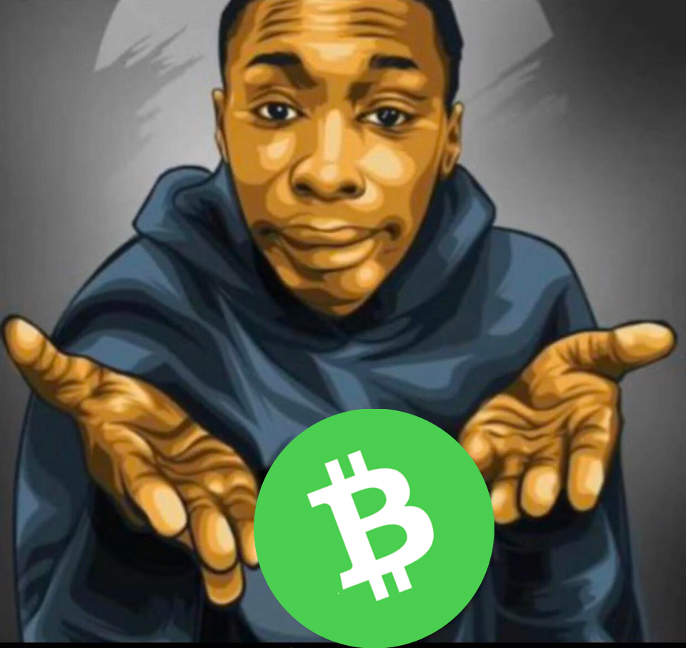 Why not Bitcoin Cash